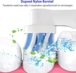 ARENO® 8 Universele Opzetborstels - Geschikt Voor Oral-B En Braun -Mondverzorgings Winkel 1200x1145 2