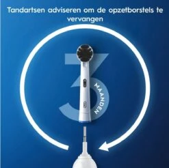 Oral B Oral-B Pure Clean Opzetborstel - 8 Stuks -Mondverzorgings Winkel 1200x1195 4