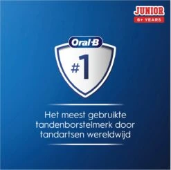 Oral B Oral-B Junior Elektrische Tandenborstel - Minnie -Mondverzorgings Winkel 1200x1197 2
