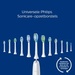 Philips Sonicare ProtectiveClean 4300 HX6800/35 - Elektrische Tandenborstel - Roze & Zwart -Mondverzorgings Winkel 1200x1200 72