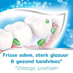 Aquafresh Freshmint - Tandpasta - Voor Een Frisse Adem - Voordeelverpakking - Recyclebare Plastic Tube En Dop -5 X 75ml -Mondverzorgings Winkel 1200x1200 806