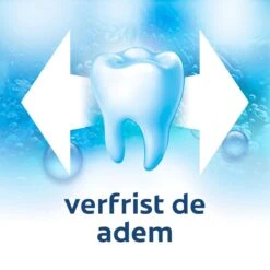 Colgate® Colgate Fresh Gel Tandpasta 6 X 75ml - Voordeelverpakking 12 Colgate® Colgate Fresh Gel Tandpasta 6 X 75ml - Voordeelverpakking -Mondverzorgings Winkel 1200x1200 808