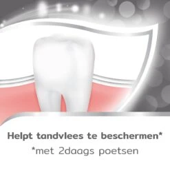 Aquafresh Tandsteen Controle Tandpasta Voor Gezonde Tanden Voordeelverpakking 12x75ml, Recyclebare Plastic Tube En Dop -Mondverzorgings Winkel 1200x1200 856