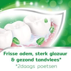 Aquafresh Anti Cariës Tandpasta Voor Gezonde Tanden, Voordeelverpakking 12- Pack, Recyclebare Plastic Tube En Dop 16 Aquafresh Anti Cariës Tandpasta Voor Gezonde Tanden, Voordeelverpakking 12- Pack, Recyclebare Plastic Tube En Dop -Mondverzorgings Winkel 1200x1200 873