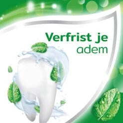 Aquafresh Anti Cariës Tandpasta Voor Gezonde Tanden, Voordeelverpakking 12- Pack, Recyclebare Plastic Tube En Dop 22 Aquafresh Anti Cariës Tandpasta Voor Gezonde Tanden, Voordeelverpakking 12- Pack, Recyclebare Plastic Tube En Dop -Mondverzorgings Winkel 1200x1200 879