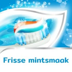 Aquafresh Freshmint 3in1 Tandpasta Voor Een Frisse Adem Voordeelverpakking 12x75ml, Recyclebare Plastic Tube En Dop -Mondverzorgings Winkel 1200x1200 912