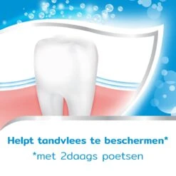 Aquafresh Freshmint 3in1 Tandpasta Voor Een Frisse Adem Voordeelverpakking 12x75ml, Recyclebare Plastic Tube En Dop -Mondverzorgings Winkel 1200x1200 915