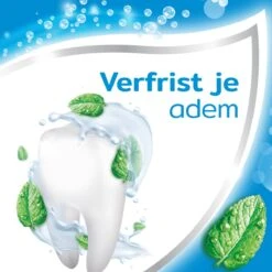 Aquafresh Freshmint 3in1 Tandpasta Voor Een Frisse Adem Voordeelverpakking 12x75ml, Recyclebare Plastic Tube En Dop -Mondverzorgings Winkel 1200x1200 920