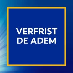 Colgate® Colgate Caries Protection Tandpasta - 6 X 75 Ml - Voordeelverpakking -Mondverzorgings Winkel 1200x1200 960