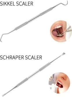 Newide Professionele Tandarts Set Met Luxe Etui – Tandsteen Verwijderaar – RVS Tandarts Setje – Tandenstokers – Tandartshaakje – Tand Verzorging Gereedschap Set – Tandplak Verwijderaar -Mondverzorgings Winkel 889x1200