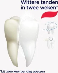 Prodent Whitening System Tandpasta - 12 X 75 Ml - Voordeelverpakking -Mondverzorgings Winkel 963x1200 1